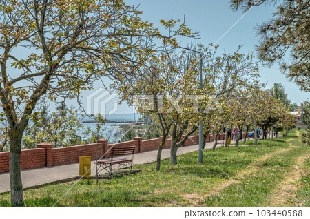 Seaside or Primorsky park in Chernomorsk, Ukraine Seaside or Primorsky park in Chernomorsk, Ukraine 103440588