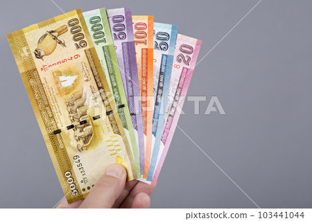 Sri Lankan money in the hand on a gray background 103441044