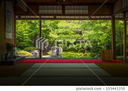 建仁寺別寺靈源院 新綠的季節(京都府京都市東山區) 建仁寺別寺靈源院 新綠的季節(京都府京都市東山區) 103441350