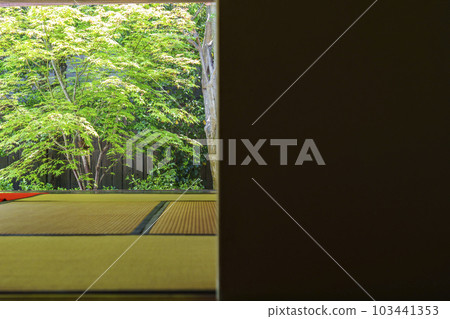 從彌生軒看到的建仁寺別寺靈源院（京都府京都市東山區） 103441353