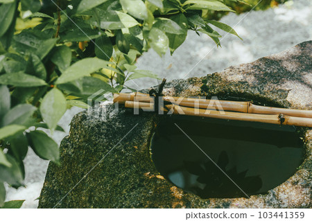 Kenninji sub-temple Reigen-in Temple (Higashiyama Ward, Kyoto City, Kyoto Prefecture) 103441359