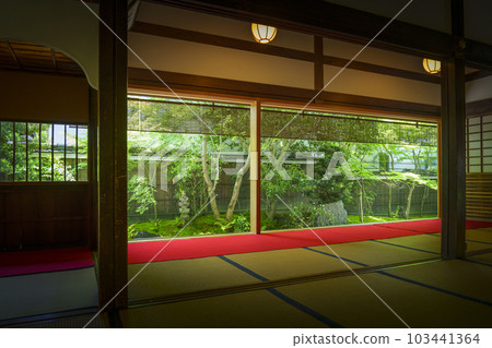Kenninji sub-temple Reigen-in The season of fresh greenery (Higashiyama Ward, Kyoto City, Kyoto Prefecture) 103441364