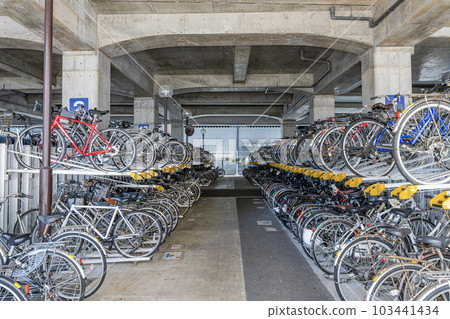 Bicycle parking lot with neatly arranged bicycles 103441434