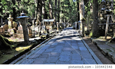 The approach to the Okunoin Temple on Mt. 103441548