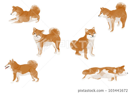 可愛的柴犬素材集,多種姿勢 可愛的柴犬素材集,多種姿勢 103441672
