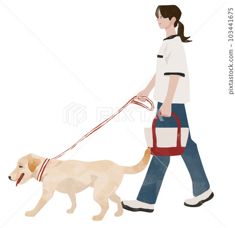 Labrador retriever walking with woman, owner and dog 103441675