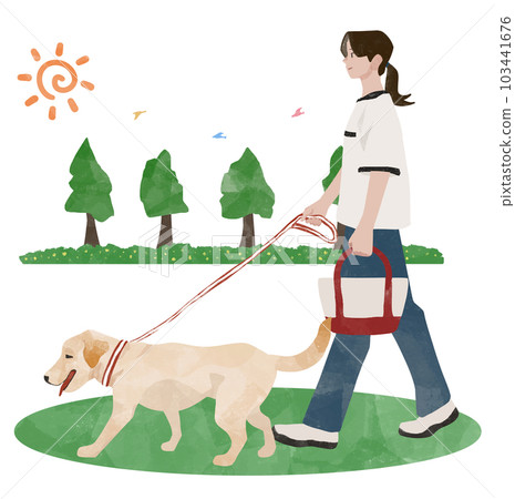 Labrador retriever walking in the park with woman, owner and dog 103441676