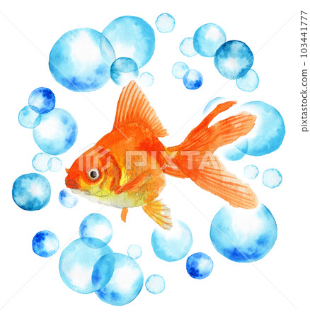 金魚漂浮在一圈模擬水彩圓點,橙色 Ryukin 金魚漂浮在一圈模擬水彩圓點,橙色 Ryukin 103441777