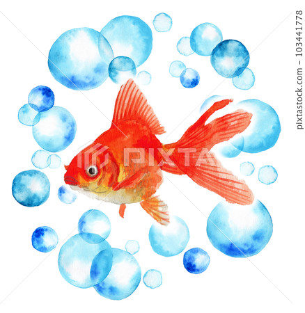 金魚和紅色 Ryukin 漂浮在一圈模擬水彩圓點中 金魚和紅色 Ryukin 漂浮在一圈模擬水彩圓點中 103441778