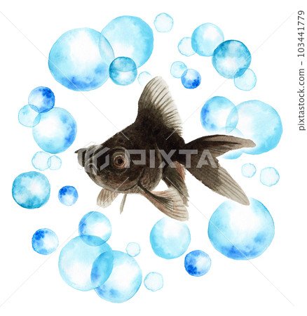 金魚和黑眼睛漂浮在一圈模擬水彩圓點中 金魚和黑眼睛漂浮在一圈模擬水彩圓點中 103441779