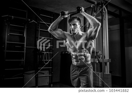 Sexy muscular man posing in gym, shaped abdominal. Strong male n Sexy muscular man posing in gym, shaped abdominal. Strong male n 103441882