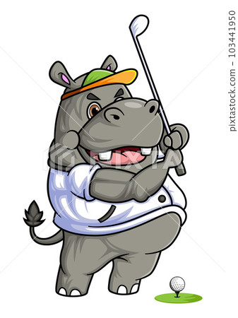 happy cute hippopotamus play train golf happy cute hippopotamus play train golf 103441950
