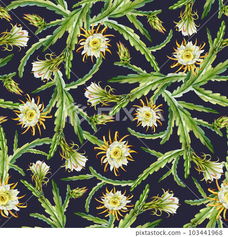 Dark blue and green blooming cactus branches with flowers and buds watercolor seamless pattern. Realistic botanical background of flowering exotic dragon fruit for summer tropical prints and fasbrics Dark blue and green blooming cactus branches with flowers and buds watercolor seamless pattern. Realistic botanical background of flowering exotic dragon fruit for summer tropical prints and fasbrics 103441968