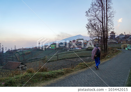 一名男子穿過布羅莫火山旅遊基地 Chemololawang 村的風景 103442015