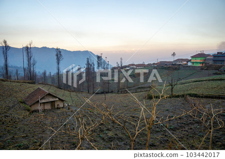 爪哇一個村莊的鄉村風光 103442017