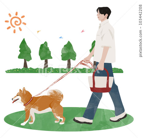 Shiba Inu walking in a sunny park with a man, the owner and his dog Shiba Inu walking in a sunny park with a man, the owner and his dog 103442208