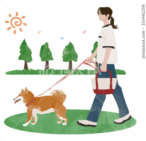 Shiba Inu walking in a sunny park with a woman, owner and his dog Shiba Inu walking in a sunny park with a woman, owner and his dog 103442209