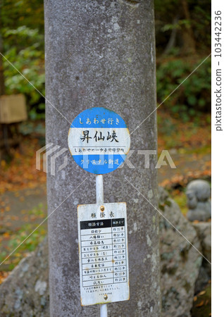 Yamanashi Shosenkyo Bus Stop 103442236