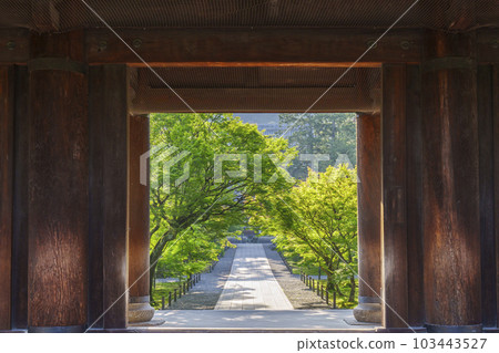 京都:清晨從南禪寺三門看佛寺,新綠季節 京都:清晨從南禪寺三門看佛寺,新綠季節 103443527