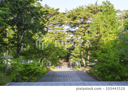 Kyoto, Nanzenji Temple in the early morning, Imperial messenger gate, the season of fresh greenery 103443528