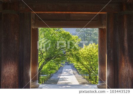Kyoto: View of the Buddhist temple from Nanzenji's Sanmon Gate in the early morning, the season of fresh greenery 103443529