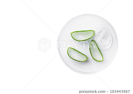 Aloe Vera slices with aloe gel on petri dish on white background. Aloe vera herbal medicine. Natural cosmetics background with copy space. 103443987