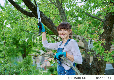 Woman gardener with saw and dry cut branches looking at camera in garden 103444054