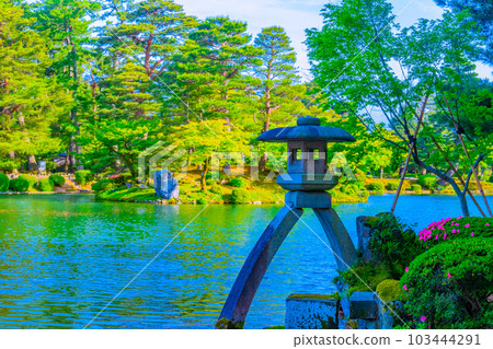 Fresh green Kenrokuen 103444291