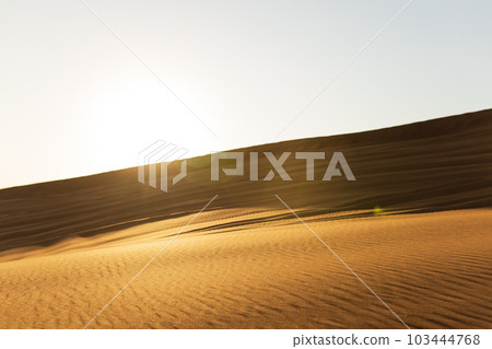 A dune landscape in the Rub al Khali or Empty Quarter at golden sunset time and nobody around 103444768