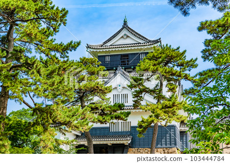 愛知岡崎城~天守~ 愛知岡崎城~天守~ 103444784