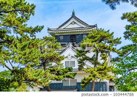 Aichi Okazaki Castle ~ Tenshu ~ Aichi Okazaki Castle ~ Tenshu ~ 103444786