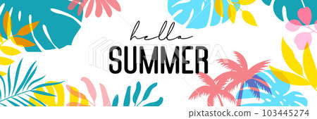 Hello summer tropical with plants and leaf decoration on background. 103445274