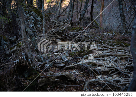 Ascent of Mt. Hakkyogatake where the sunrise awaits 103445295