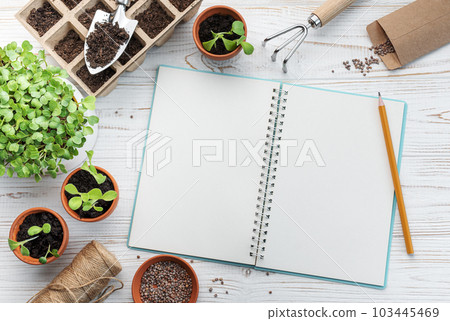 Gardening concept, planting at home 103445469