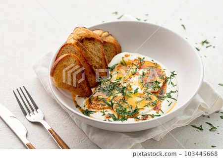Portion of gourmet eggs breakfast with sauce 103445668
