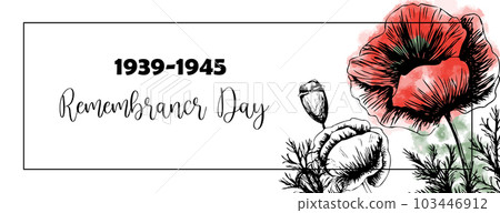 Second world war 1939-1945, victory day, memorial day poster or banner on poppy flowers background.Vector illustration of bright poppy flower. Memorial day symbol 103446912