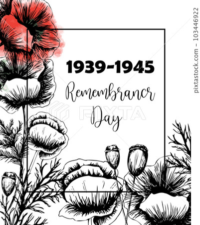 Second world war 1939-1945, victory day, memorial day poster or banner on poppy flowers background.Vector illustration of bright poppy flower. Memorial day symbol 103446922