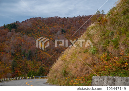 岐阜縣白山白路的秋葉 岐阜縣白山白路的秋葉 103447149