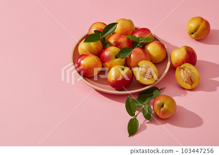 A dish of many fresh peaches put on light pink background. Copy space. Peach (Prunus persica) improves the function of the digestive system A dish of many fresh peaches put on light pink background. Copy space. Peach (Prunus persica) improves the function of the digestive system 103447256