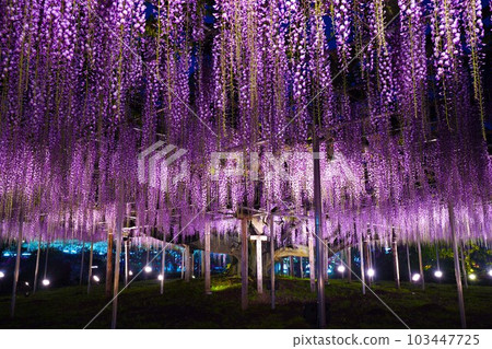 藤井夜景 藤井夜景 103447725