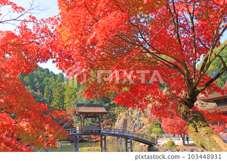 多治見市秋葉美麗的光景山永法寺 103448931