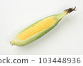 夏季蔬菜玉米 103448936