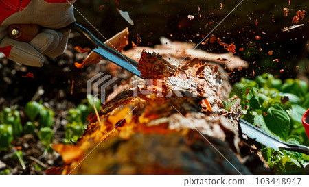 Freeze Motion of a Planer Planing Bark from a Tree Freeze Motion of a Planer Planing Bark from a Tree 103448947