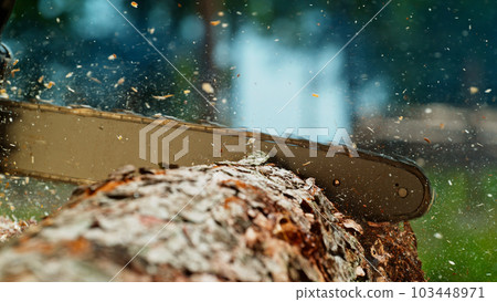Freeze Motion of a Chainsaw Cutting the Wooden Log 103448971