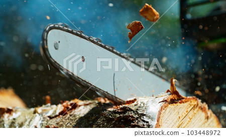 Freeze Motion of a Chainsaw Cutting the Wooden Log 103448972