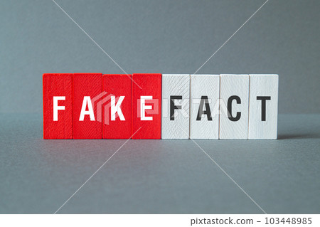 Fake Fact - word concept on building blocks, text 103448985