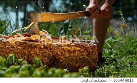 Man Chopping Wooden Logs with Axe in Forest Man Chopping Wooden Logs with Axe in Forest 103449011