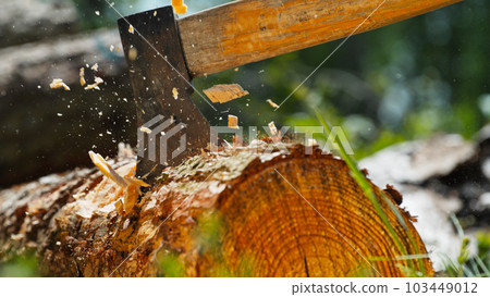 Man Chopping Wooden Logs with Axe in Forest 103449012