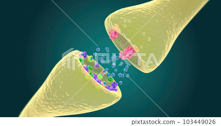 Role of Dopamine in Bipolar Depression Role of Dopamine in Bipolar Depression 103449026