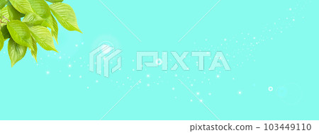 藍色背景上的新鮮綠葉 藍色背景上的新鮮綠葉 103449110